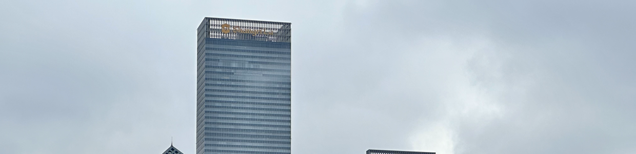 store域名查询网